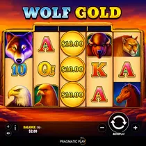 Spin247 - Wolf Gold Slot Game - Pragmatic Play